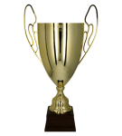 Puchar metalowy złoty 1063-N