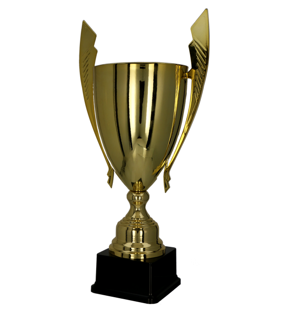 1069 (bok) - szablon.png