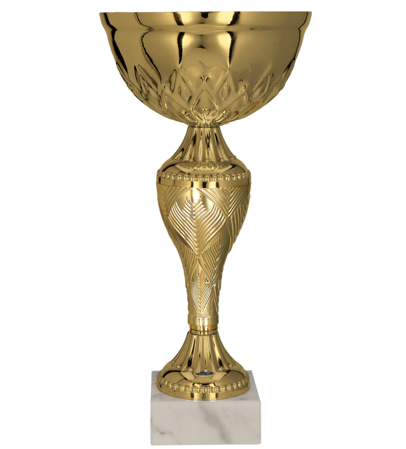 8366 (przód) - szablon.png