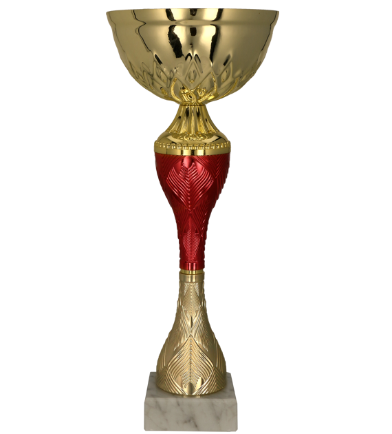 9270 (przód) - szablon.png