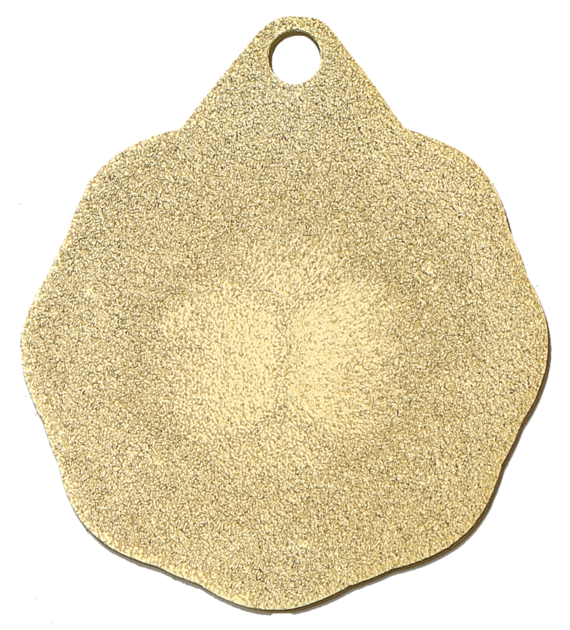 MMC1232 G (tył) - szablon.png