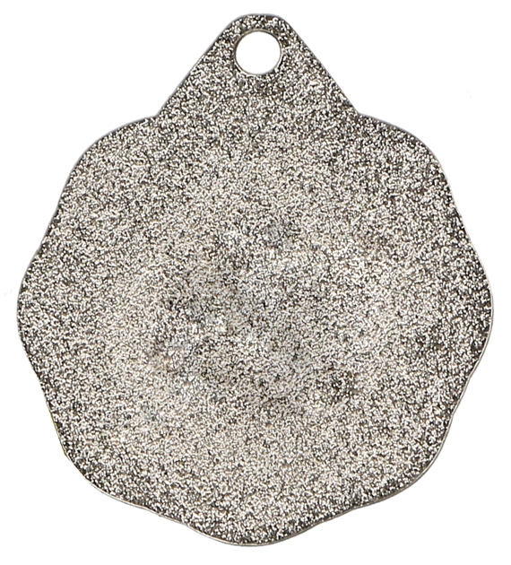 MMC1232 S (tył) - szablon.png