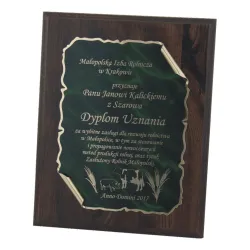 PLAKIETA PD09D - 20,0 x 15,0cm
