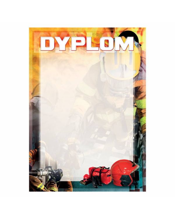dyplom-d-221.jpg