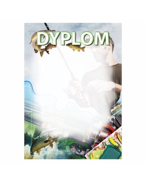 dyplom-d-213.jpg