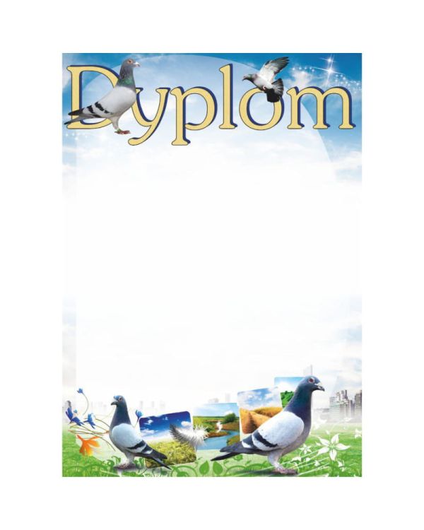 dyplom-d-218.jpg