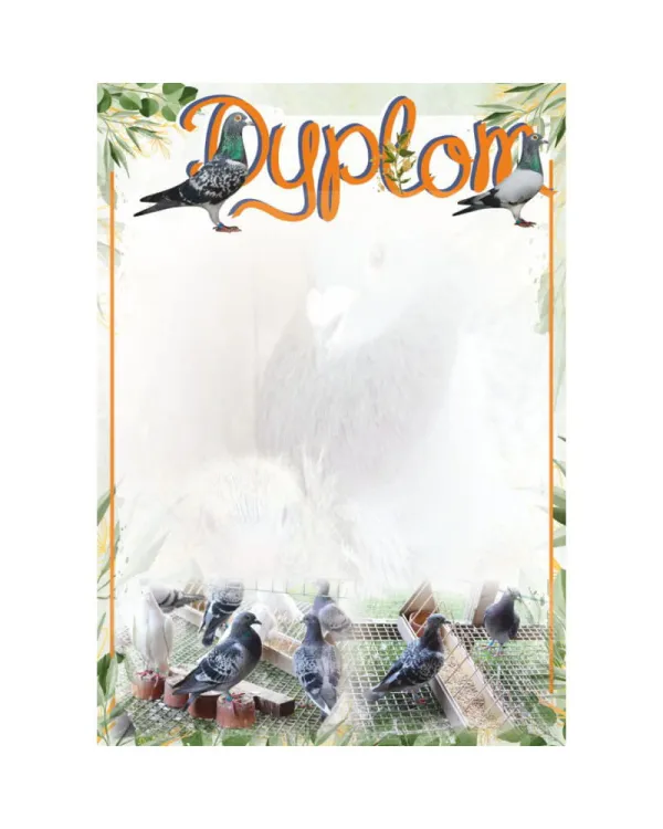 dyplom-d-218 (1).jpg