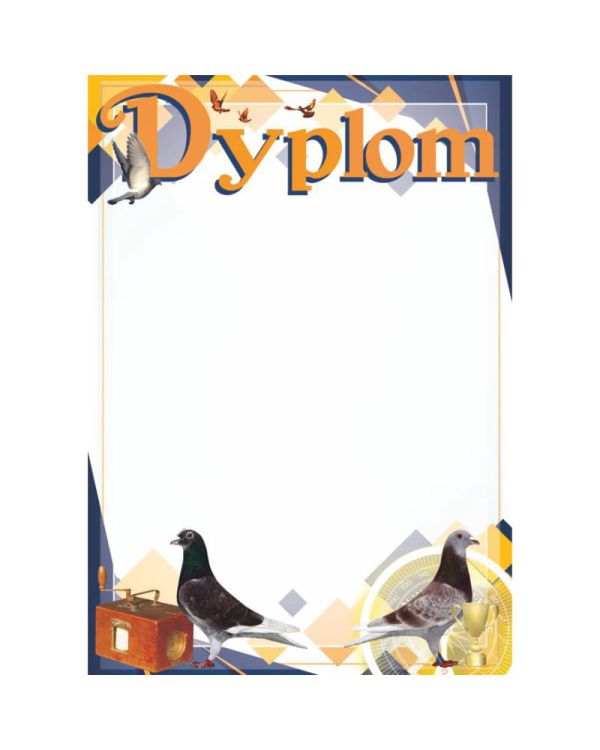 dyplom-d-218 (6).jpg