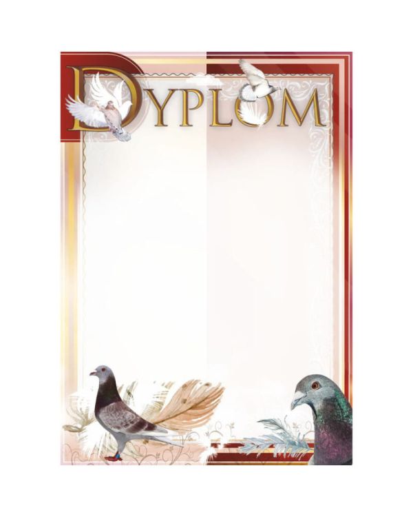 dyplom-d-218 (8).jpg