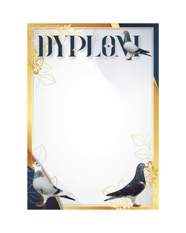 dyplom-d-218 (9).jpg