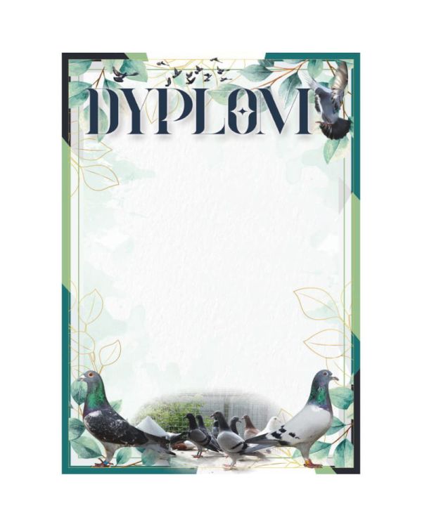 dyplom-d-218 (12).jpg