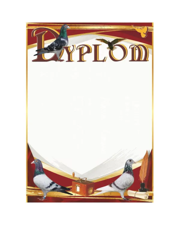 dyplom-d-218 (13).jpg