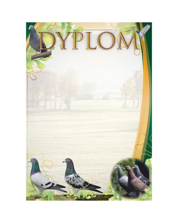 dyplom-d-218 (15).jpg