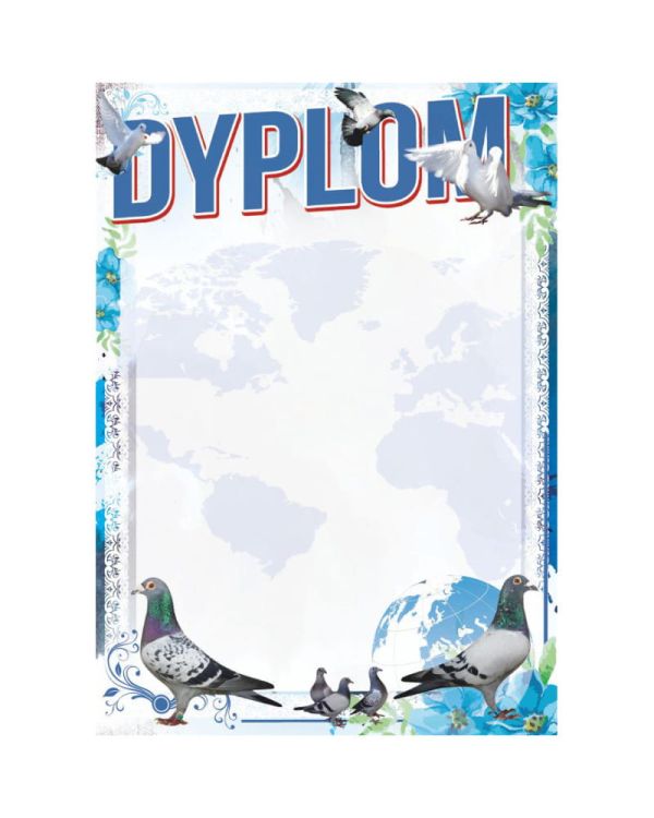 dyplom-d-218 (17).jpg