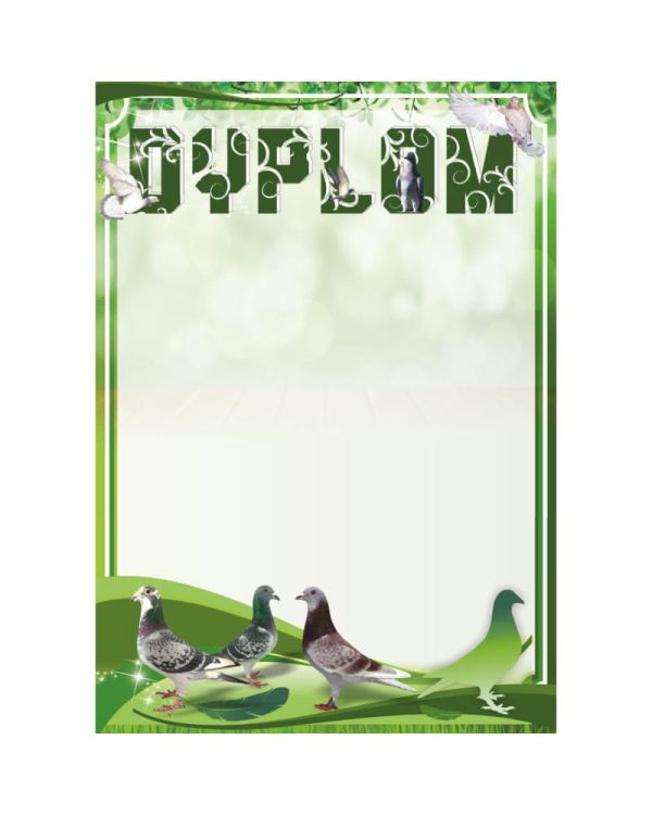 dyplom-d-218 (20).jpg