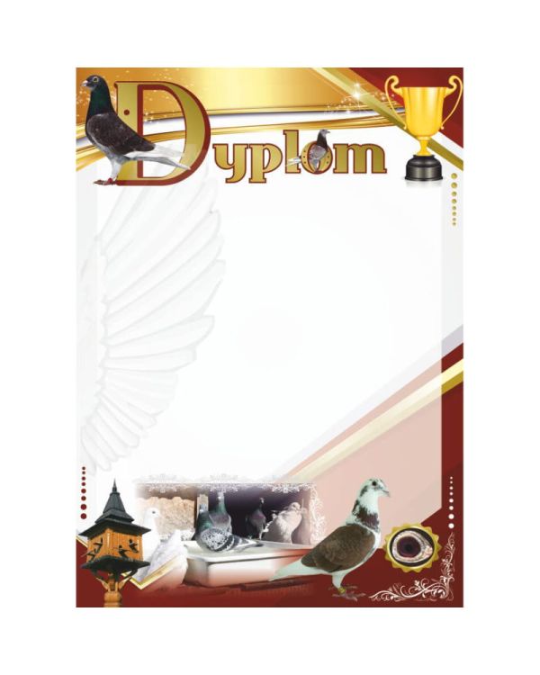 dyplom-d-218 (21).jpg