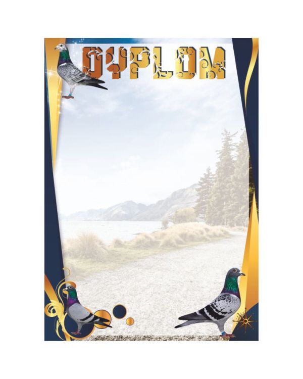 dyplom-d-218 (24).jpg