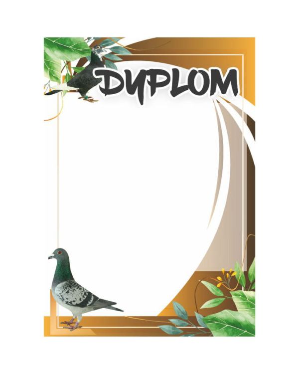 dyplom-d-218 (27).jpg