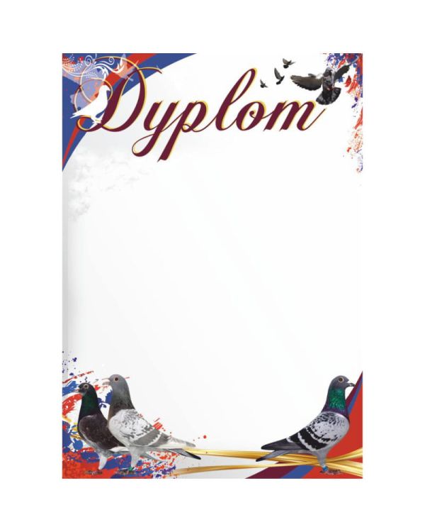 dyplom-d-218 (28).jpg