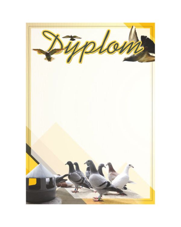 dyplom-d-218 (30).jpg