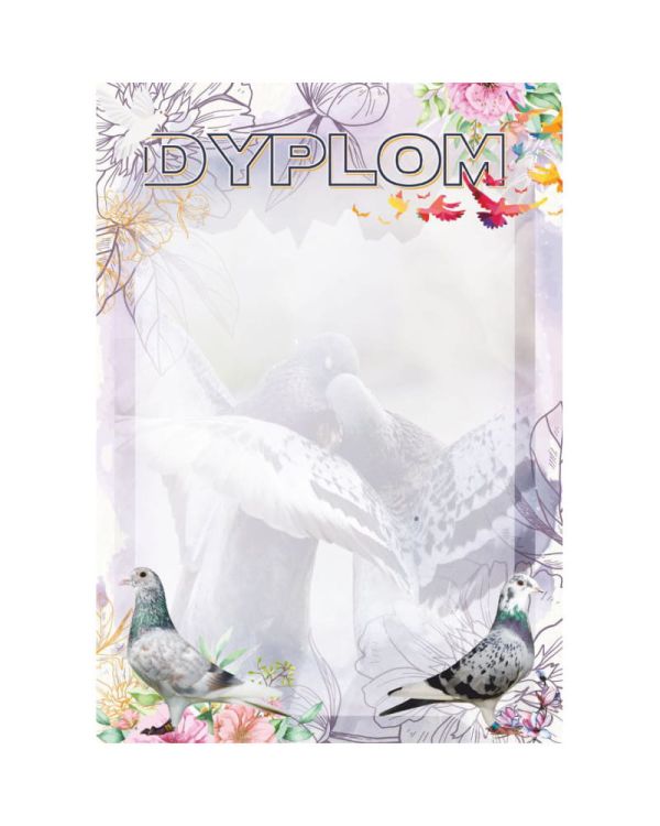 dyplom-dh-255.jpg
