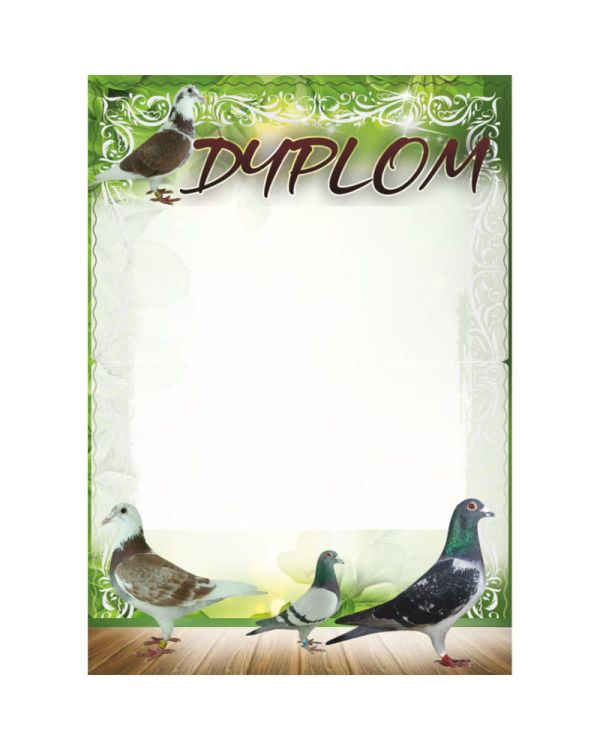 dyplom-dh-256.jpg