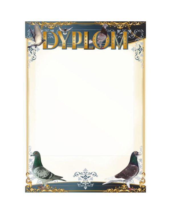 dyplom-dh-258.jpg