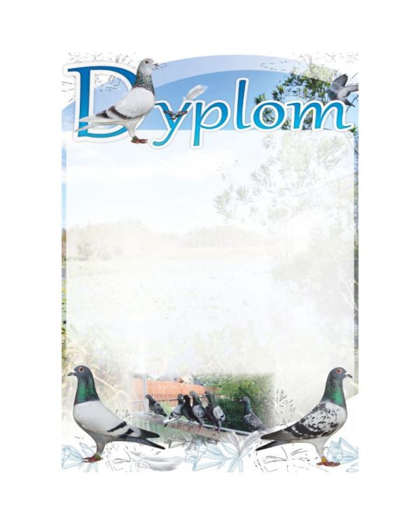 dyplom-dh-261.jpg