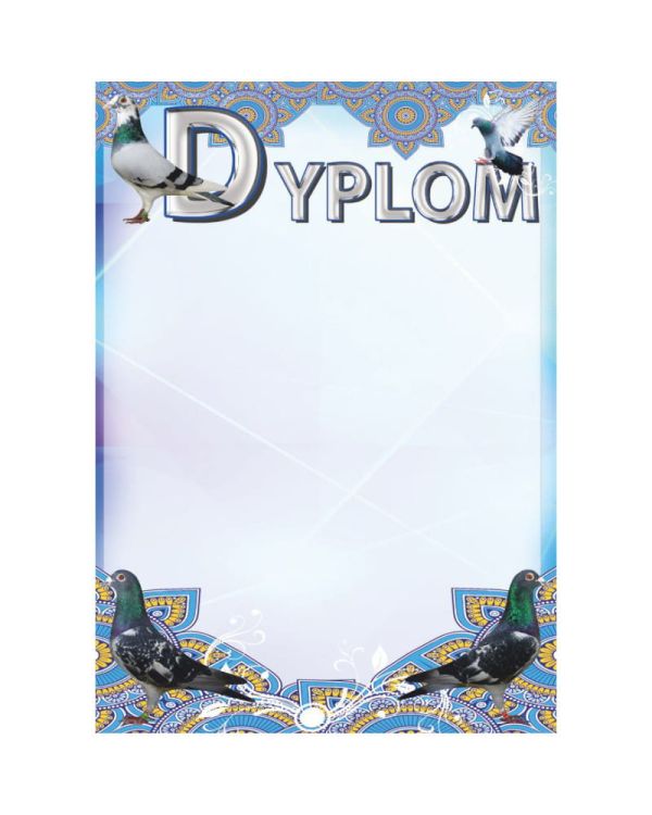 dyplom-dh-262.jpg