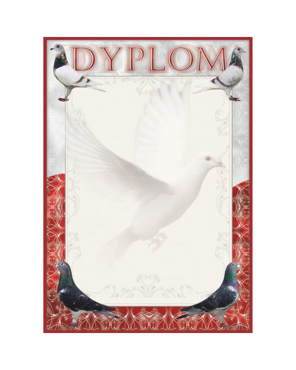 dyplom-dh-263.jpg