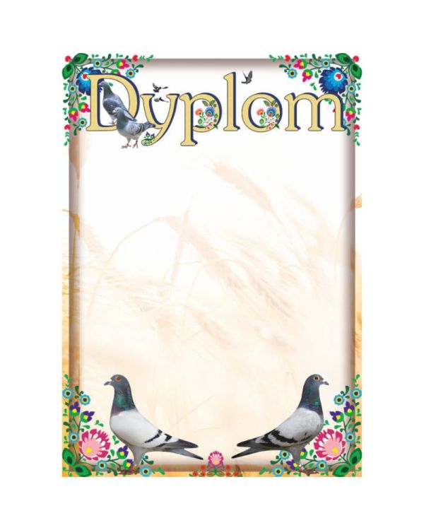 dyplom-dh-269.jpg