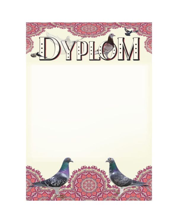 dyplom-dh-271.jpg