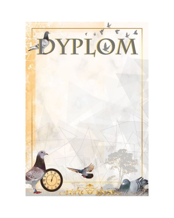 dyplom-dh-274.jpg