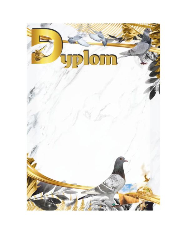 dyplom-dh-337.jpg