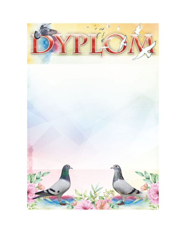 dyplom-dh-275.jpg