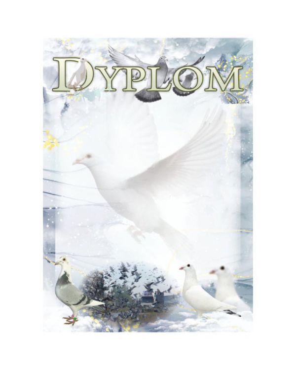 dyplom-dh-332.jpg