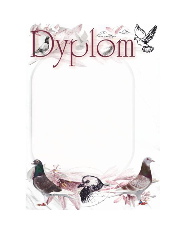 dyplom-dh-334.jpg