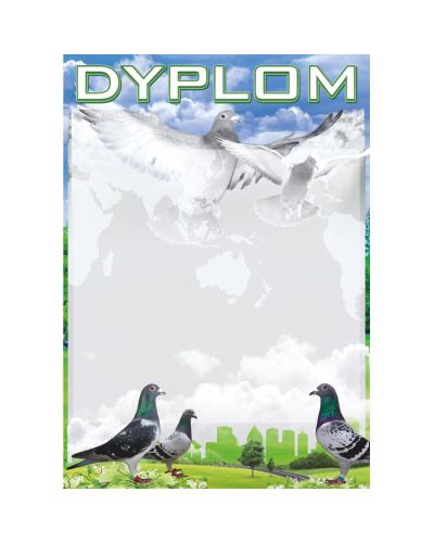 dyplom-dh-291.jpg