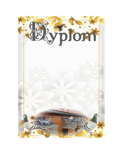 dyplom-dh-321.jpg