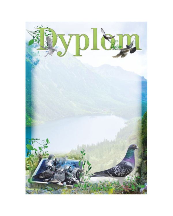 dyplom-dh-330.jpg