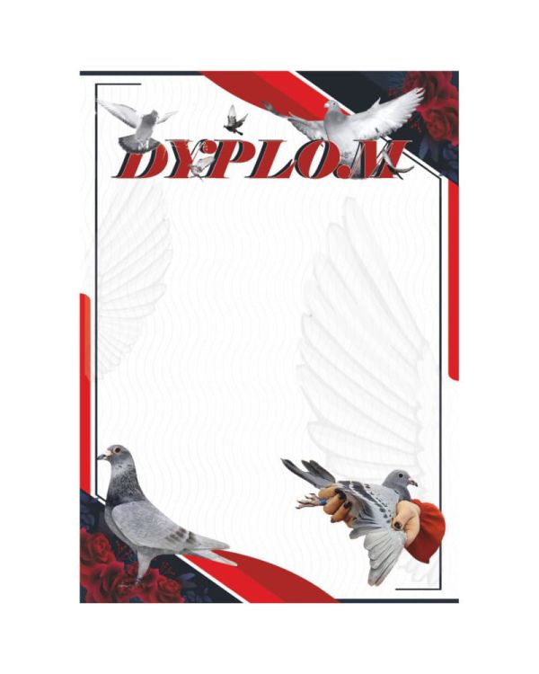 dyplom-dh-328.jpg