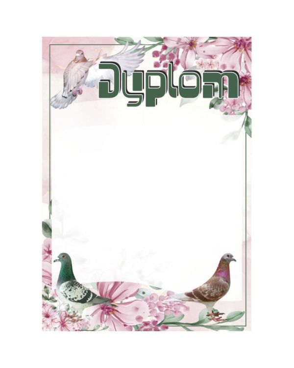 dyplom-dh-327.jpg