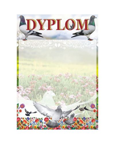 dyplom-dh-308.jpg