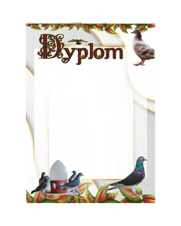 dyplom-dh-312.jpg