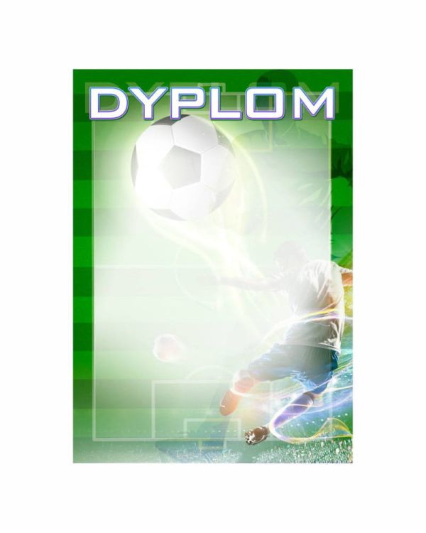 dyplom-d-203 (1).jpg