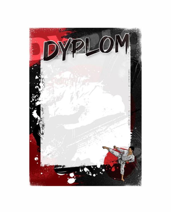 dyplom-d-208 (1).jpg