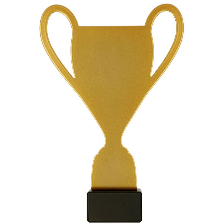 ML-CUP.jpg