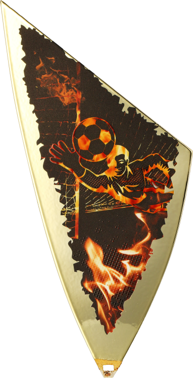 S2_SOC4 (1).png