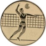 Wklejka Aluminiowa Złota - Siatkówka Mężczyzn