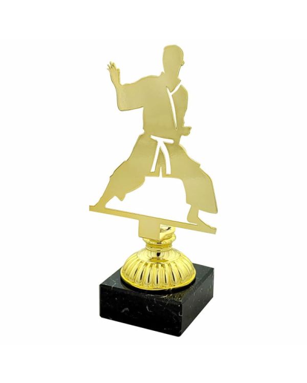 statuetka-4228-karate.jpg
